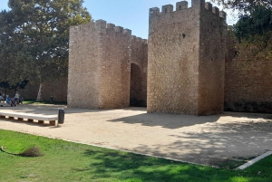 Silves Castle, Lagos, and Ponta Da Piedade Tour