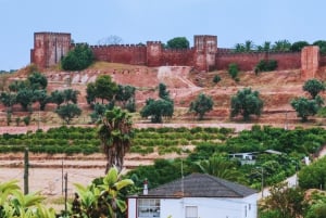 Passeio de barco pela história e natureza de Silves - bebida gratuita e vinho do Porto