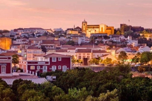 Passeio de barco pela história e natureza de Silves - bebida gratuita e vinho do Porto