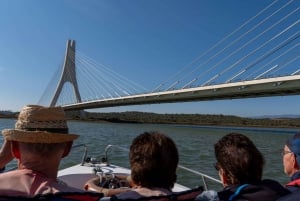 Silves History & Nature Boat Tour on the Arade River