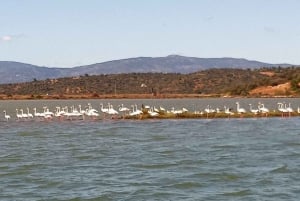 Silves History & Nature Boat Tour on the Arade River