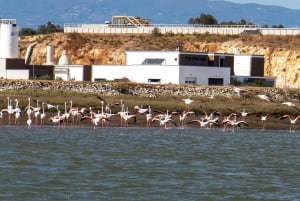 Silves History & Nature Boat Tour on the Arade River