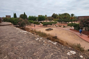 Silves: Morning Walking Tour with Local Guide