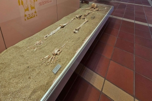 Silves: Morning Walking Tour with Local Guide