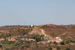 Silves: Volkswagen T2 Algarve Flavors Tour