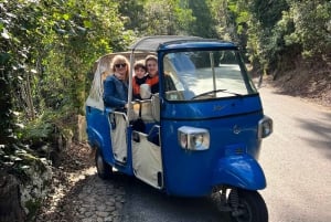 Sintra: TUKTUK 1h tour