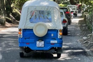 Sintra: TUKTUK 1h tour