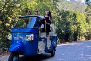 Sintra: TUKTUK 1h tour