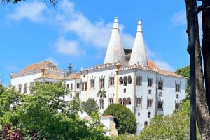 Sintra: TUKTUK 1h tour