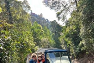 Sintra: 1-stündige TUKTUK-Tour