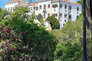 Sintra: 1-stündige TUKTUK-Tour