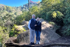 Sintra: 1-stündige TUKTUK-Tour