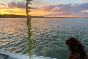 Sunset Boat Trip