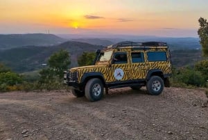 サンセット・サファリ