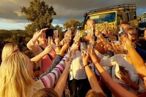 サンセット・サファリ