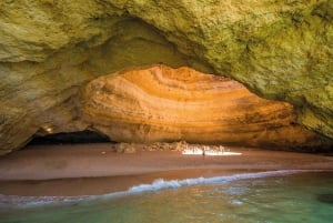 Tour di degustazione: Esperienza di degustazione di 4 ore in Algarve