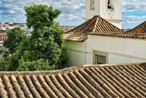 Tavira City & Chocolate