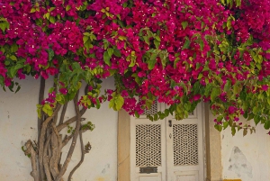 Tavira City & Chocolate