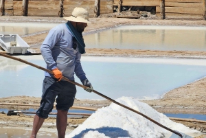 Tavira City & Chocolate