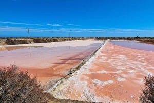 Tavira City & Ice Cream