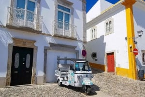 Stadt Tavira & Olivenfabrik