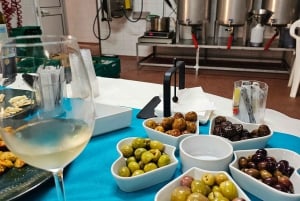 Stadt Tavira & Olivenfabrik