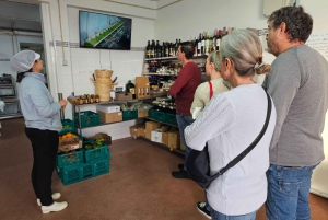 Stadt Tavira & Olivenfabrik