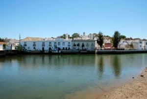 Stadt Tavira & Olivenfabrik
