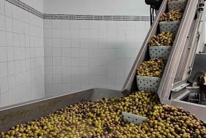 Stadt Tavira & Olivenfabrik