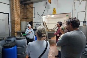 Stadt Tavira & Olivenfabrik