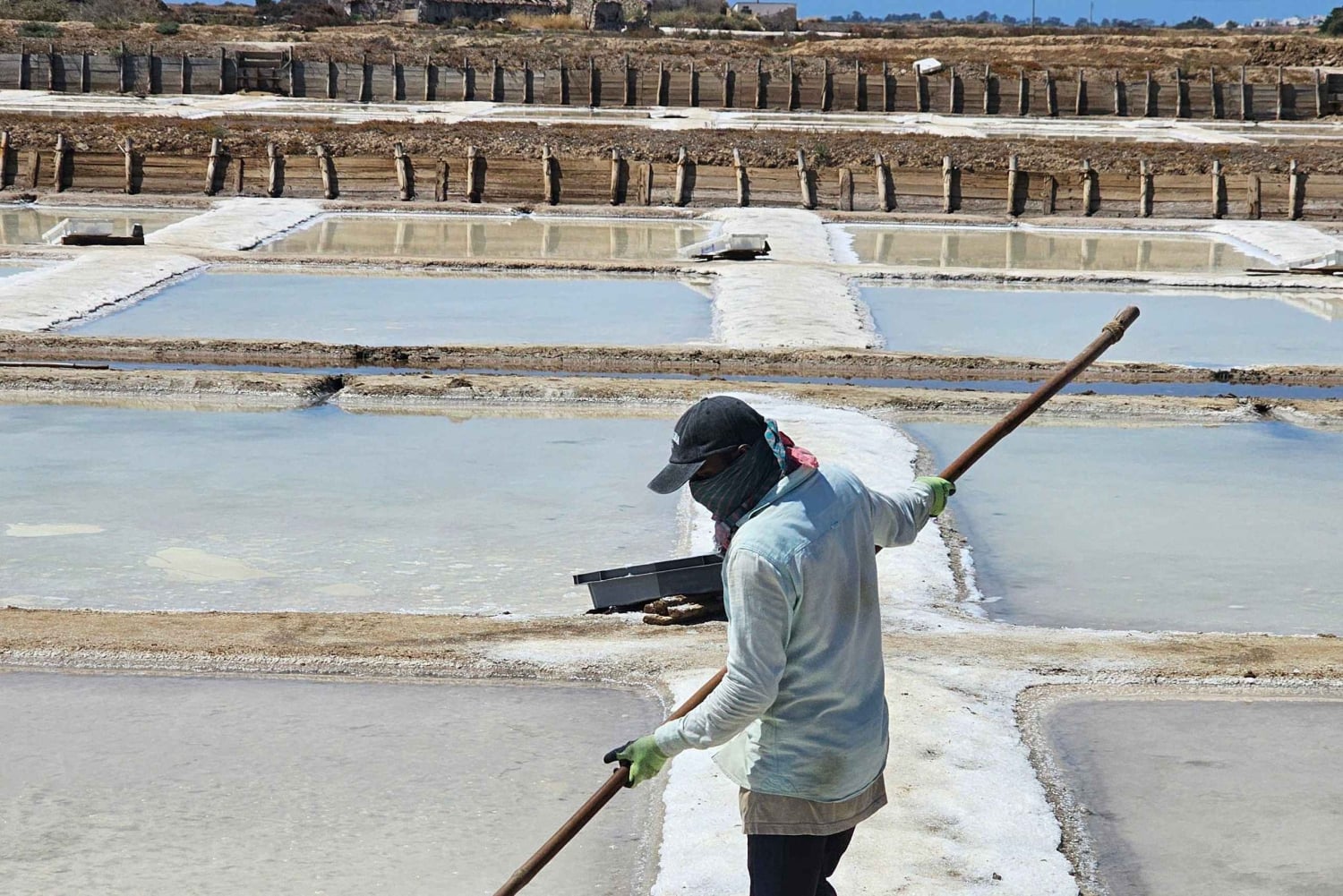 Tavira City & Olive Factory