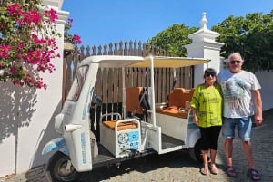 Stadt Tavira & Olivenfabrik