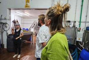 Tavira City & Olive Factory