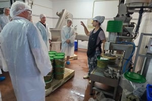 Tavira City & Olive Factory