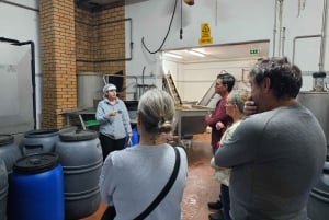 Tavira City & Olive Factory