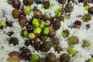 Tavira City & Olive Factory