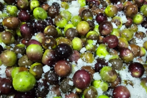 Tavira City & Olive Factory