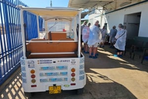 Tavira City & Olive Factory