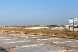 Tavira Guided Tour with Tasting