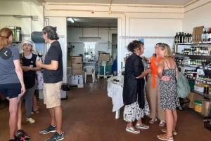 Tavira: Olive Experience with Factory Tour and Tasting