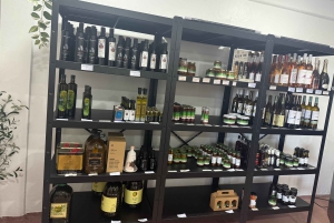 Tavira: Olive Experience with Factory Tour and Tasting