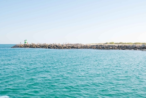 Tavira: Passeio Hele dag