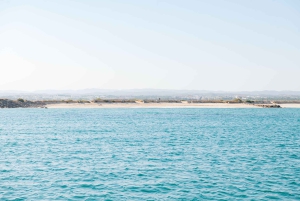 Tavira: Passeio Hele dag