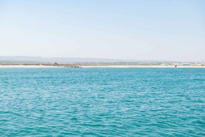 Tavira: Passeio Hele dag