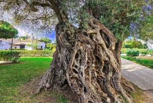 Tavira, Santa Luzia och vinprovning