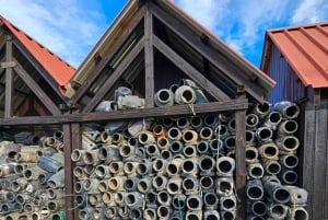 Tavira, Santa Luzia och vinprovning