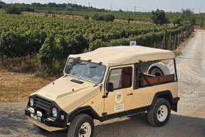 Tavira, Santa Luzia i degustacja win