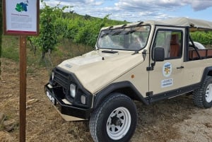 Tavira, Santa Luzia i degustacja win