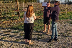 Tavira, Santa Luzia i degustacja win