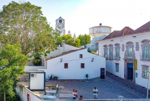 Tavira Total Tuk Tuk Tour: Tavira Tour & Tuna Museum Visit
